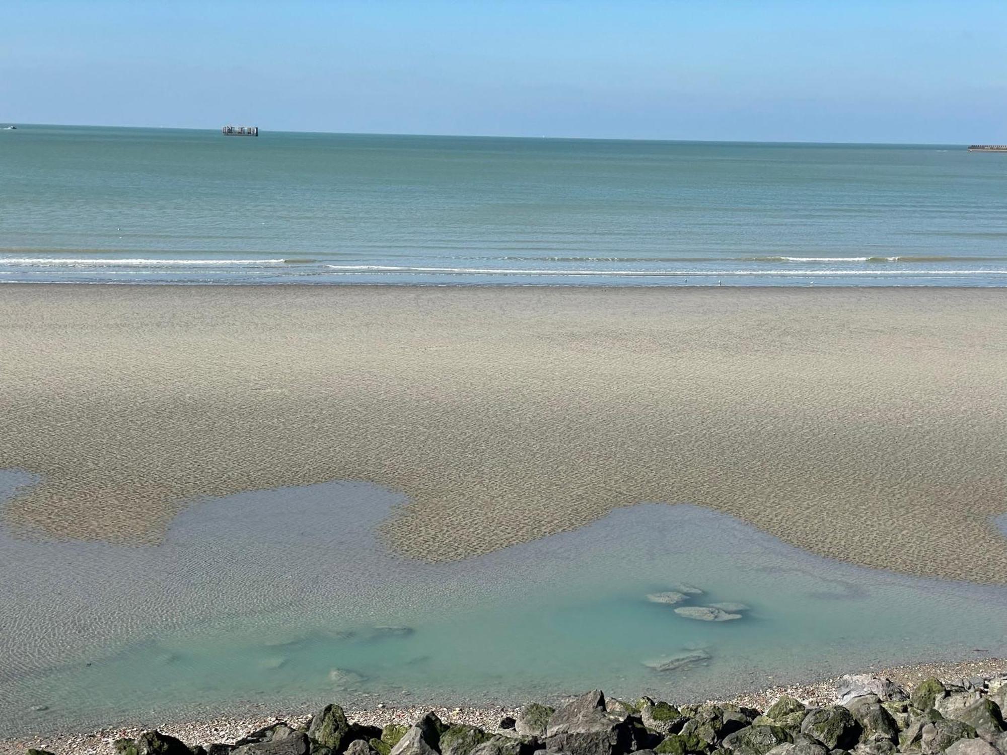 Villa Face Mer Aux Magnifiques Couchers De Soleil 5 Mn De Nausicaa Boulogne-sur-Mer Esterno foto